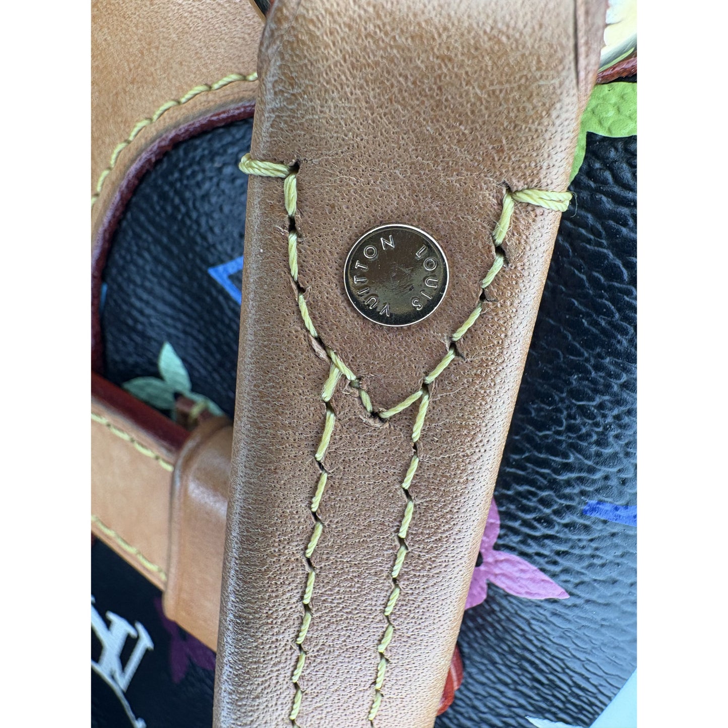 Louis Vuitton x Takashi Murakami 2011 'Claudia' Bag